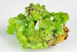 Apple-Green Pyromorphite Crystal Cluster - China #179804-2